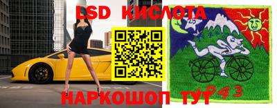 прущие крисы Кунгур