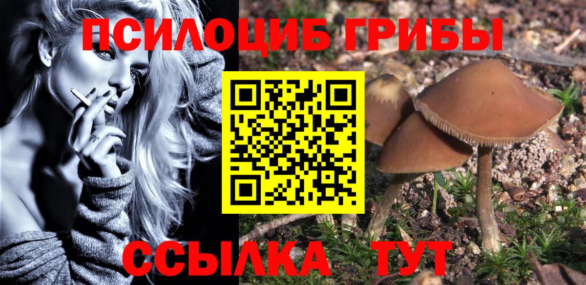 купить   Вход с VPN  Донецк  Галлюциногенные грибы прущие грибы 