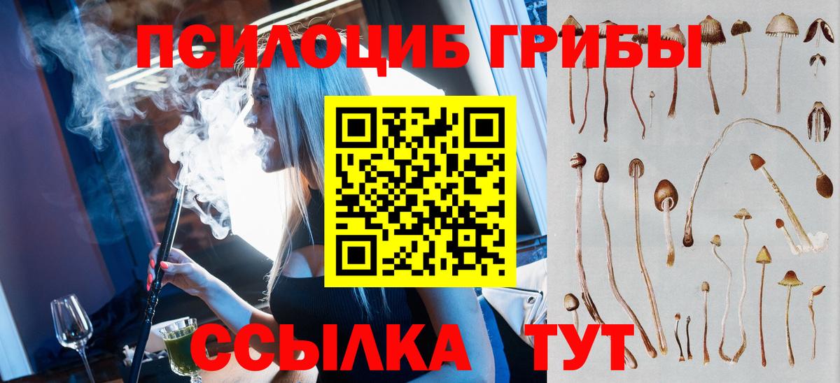 Галлюциногенные грибы Psilocybe Донецк